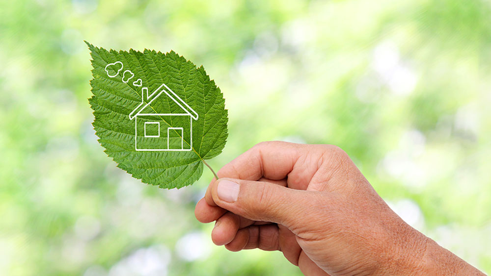 Home icon on a leaf to show energy efficient home