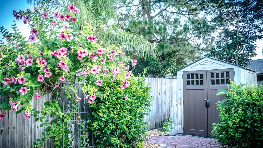 Decorative ornaments in the garden.