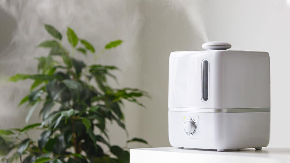 Comfee Smart Dehumidifier - A great Dehumidifier to get you through this  winter! 