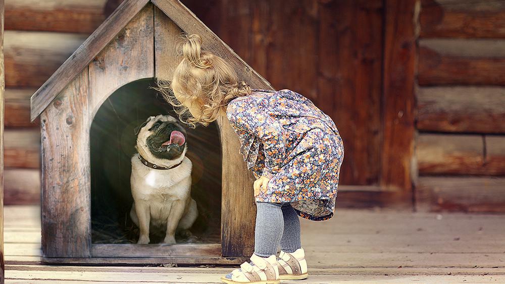  en jente som står foran et hundehus