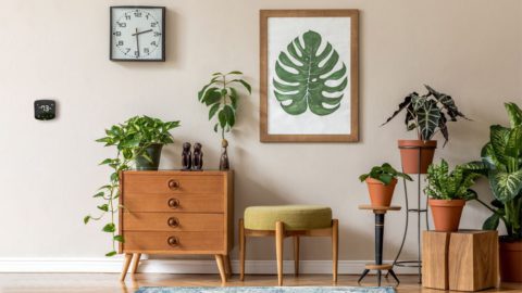 Indoor plants nicely decorated in a living room. Cielo Breez Plus can be spotted on the wall managing the ideal temperature range.