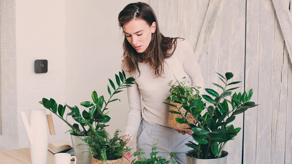 Breez Max - a smart thermostat for mini-split maintaining ideal humidity for plants