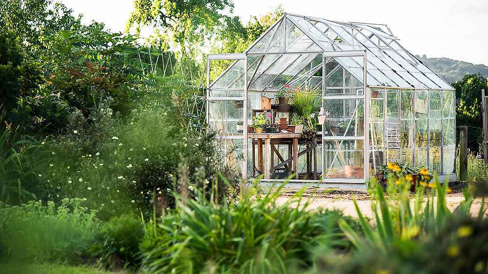 How to Choose a Greenhouse Thermometer