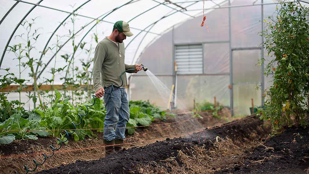 4SeasonGreenhouse. Greenhouse Minimum / Maximum Thermometer