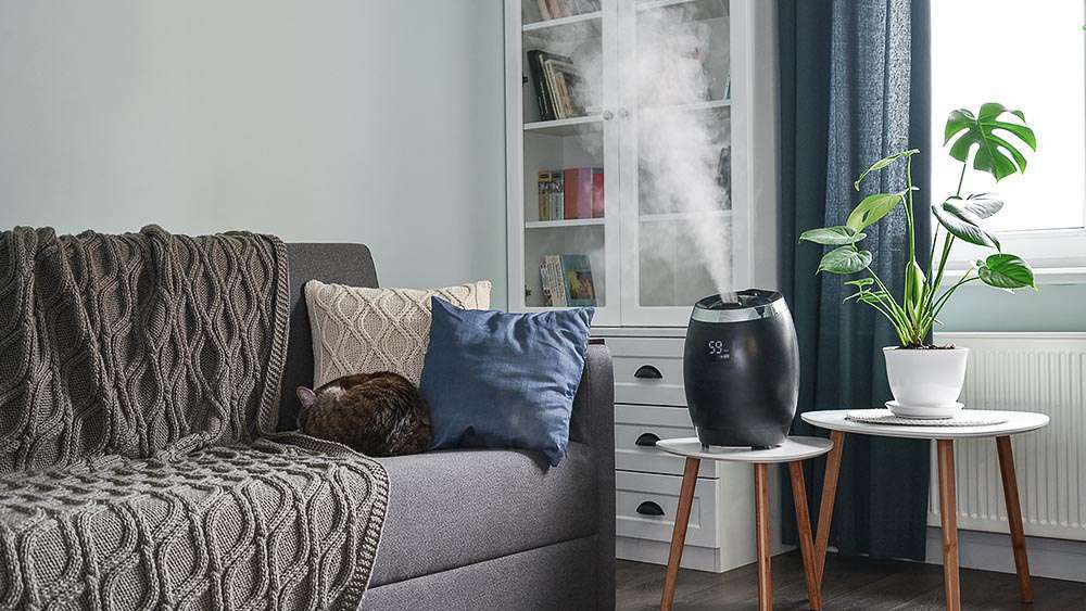 Top-Rated Humidifiers for Dry Winter Air