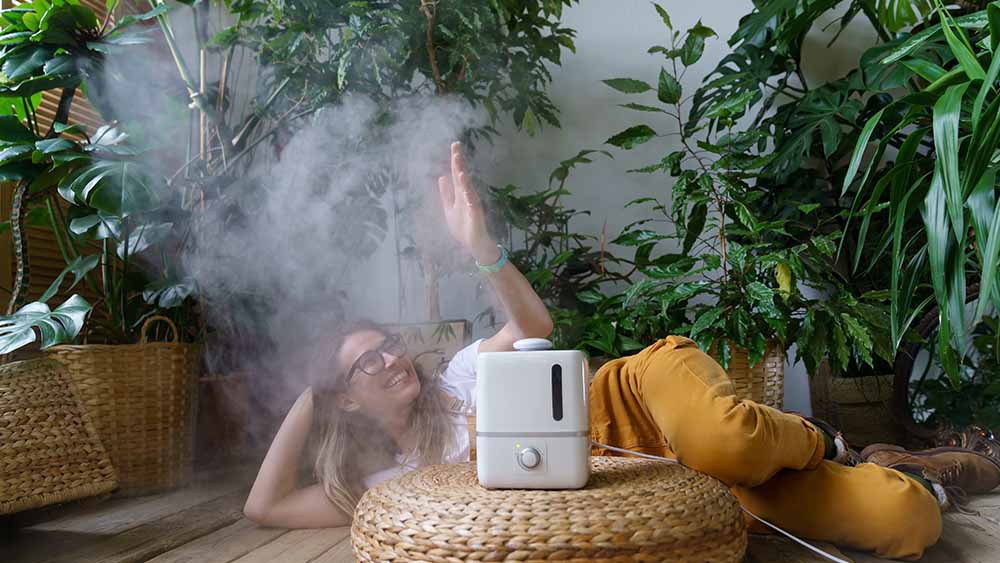 How to Choose the Best Humidifier for Your Space