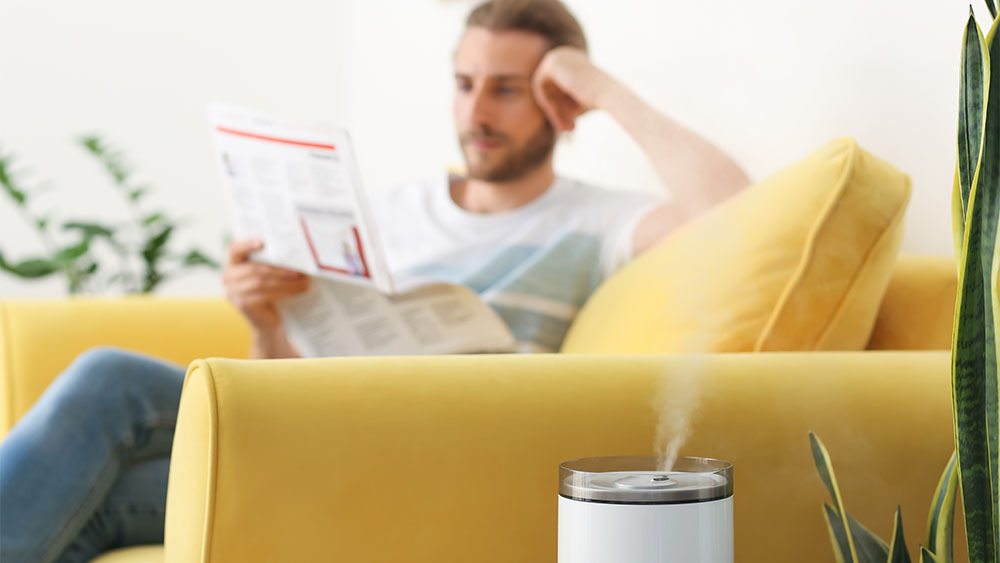 Where to Put Humidifier Living Room or Bedroom