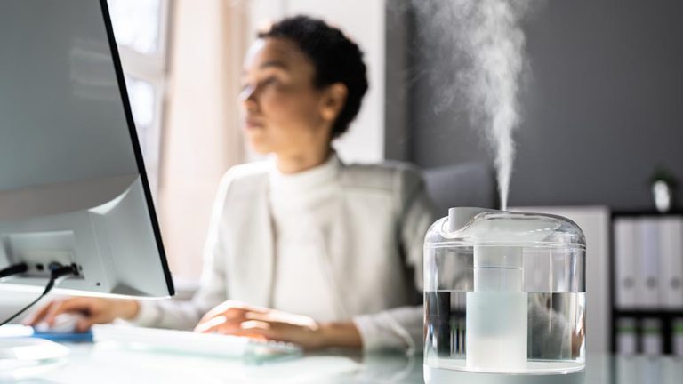 Where to Put Humidifier? Living Room or Bedroom?