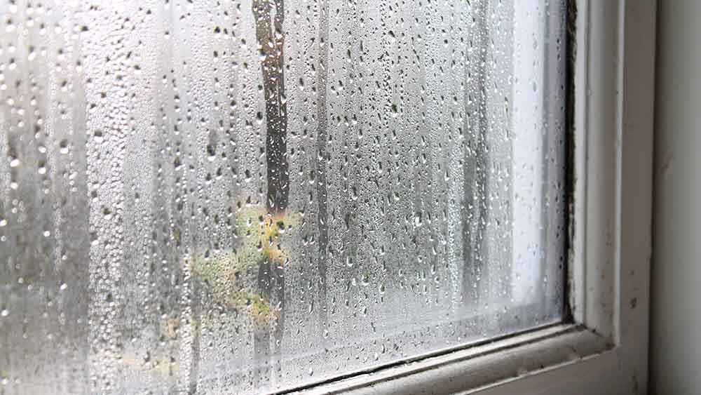 Condensation on a window 