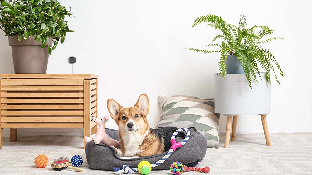 Breez Lite maintaining ideal temperature for pets 