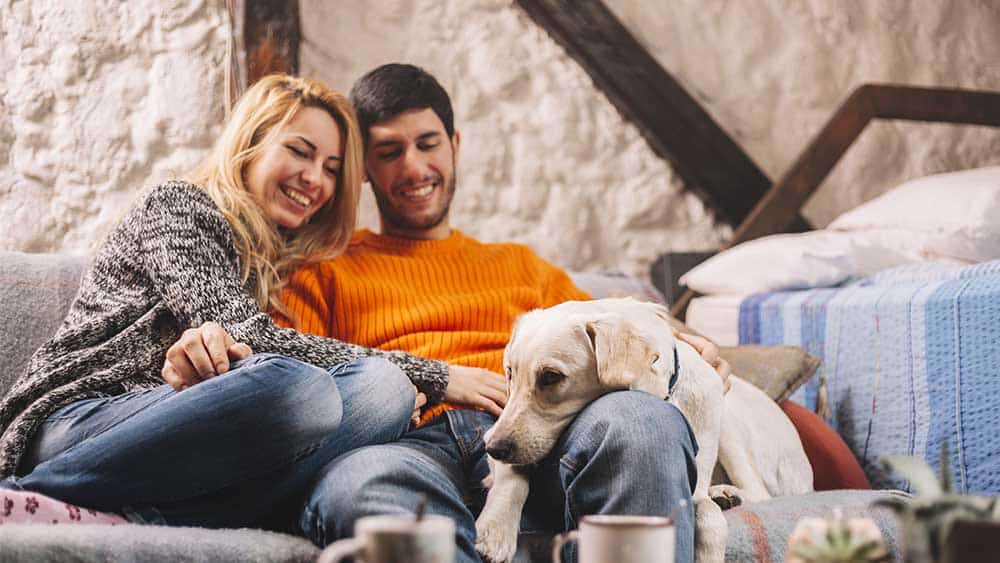 Happy couple sitting with their dog