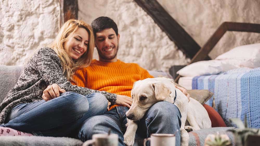 Happy couple sitting with dog.