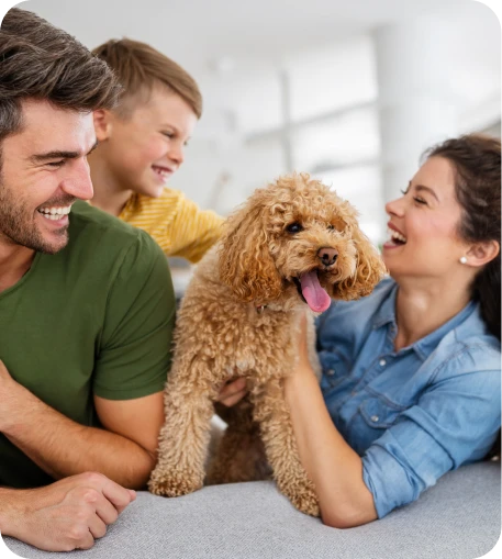 Happy family playing with their pet dog and enjoying cozy home climate.