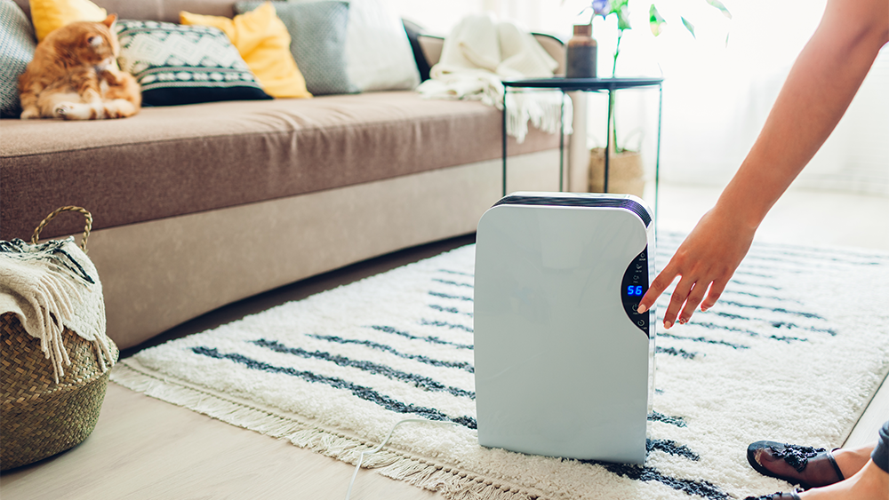 portable dehumidifier